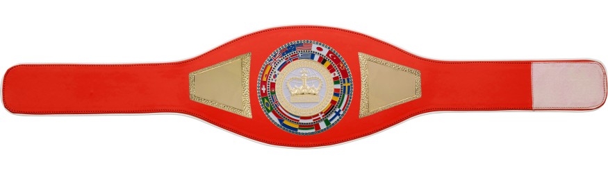 CHAMPIONSHIP BELT PROFLAG2/FLAG/G/WHTGEM - VARIETY OF :LEATHER COLOURS AVAILABLE CHAMPIONSHIP BELT PROFLAG2/FLAG/G/WHTGEM - VARIETY OF :LEATHER COLOURS AVAILABLE